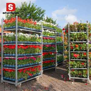 Customized Danish Greenhouse Trolley Steel Frame Nursery Plant Cart