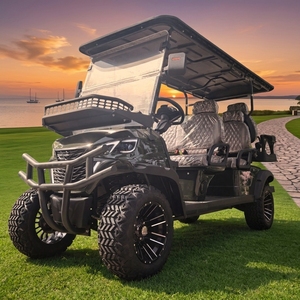 Classic Retro Vintage 6 Seater Electric Golf Cart