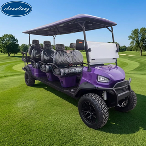 Off Road 8 Seater Electric Sightseeing Cart Lithium Buggy